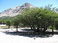 Patagonie 091